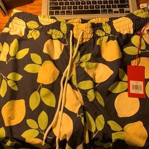 Southern Proper Swim Trunks XXL 2XL lemons NWT